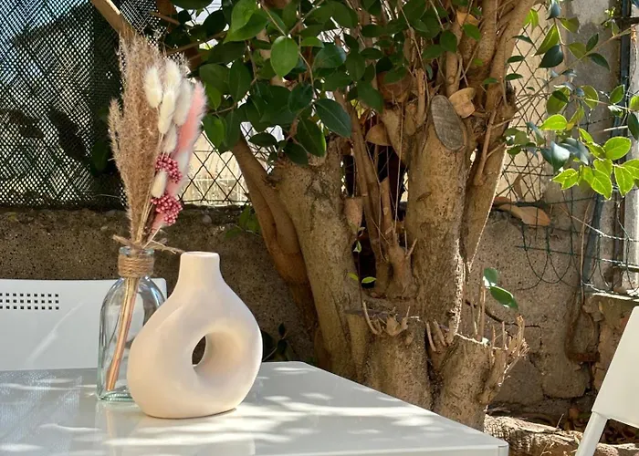 Apartamento Le Petit Cocon De